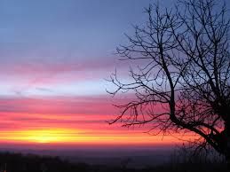 Tra i sentori dell'alba