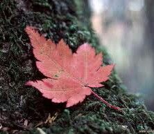 Il sorriso negli occhi