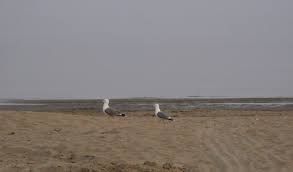 Un tempo solo nostro  