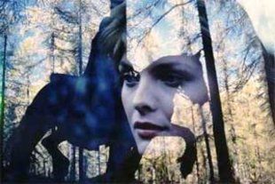 Binario 21 (capitolo 2: ladyhawke)