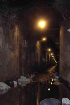 Finalmente pulity i vicoli di Gotham city