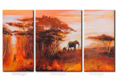 Come l'acqua agli elefanti