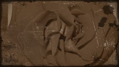 Petali di pioggia e di rose