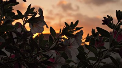 Di acqua e di silenzi la sera