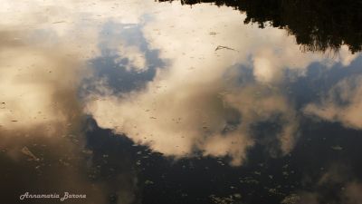 Quello che mi dice il tuo silenzio