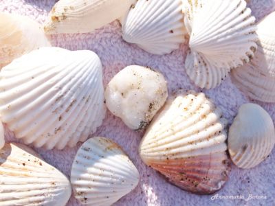 Everything but white