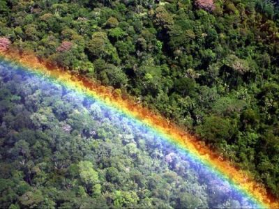 E' isso a� � tutto qui