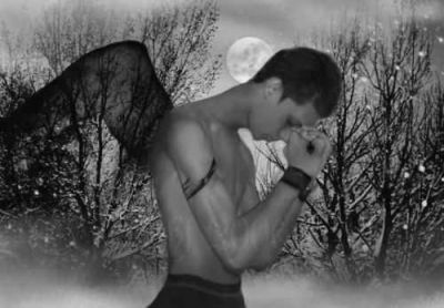 Asas da vida Ali della vita