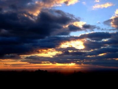 Impitoyables aurores