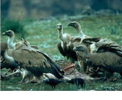 Tu ne m�rites pas mon c�ur!