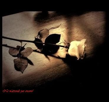 Ne m'attends pas encore!