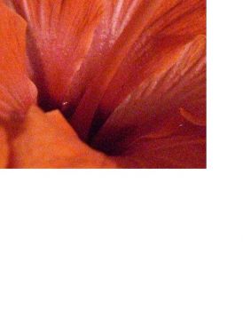 Vision omnipr�sente