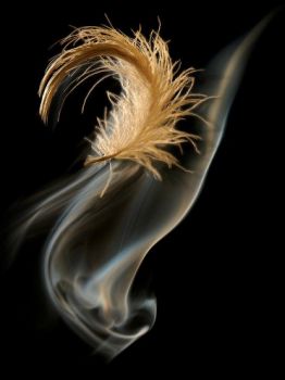 Ne laisse que le temps efface ta trace!  