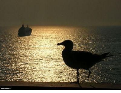 Vers d'autres cieux plus lumineux  