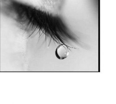 Tout ici n'est qu'ab�me  