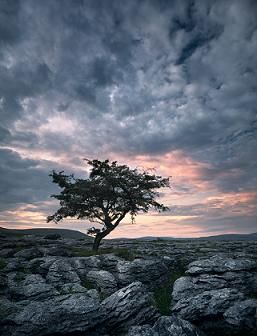 � travers les sillons  