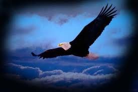 Aiglon, prends ton vol  