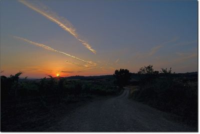 Magie de la création