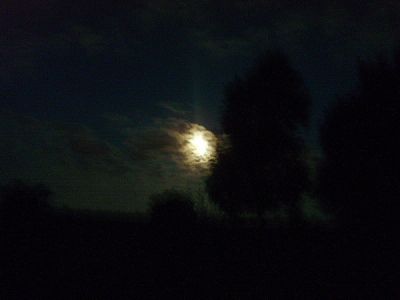 � pens�e, pourquoi...?