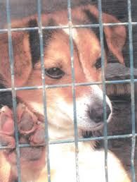 E' solo la fine dell'anno