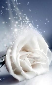 Quando l'amore muore!