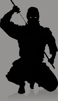 Guerrieri del nulla!