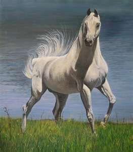 Cavallo Bianco