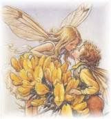 Il valore pi� grande  