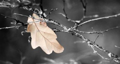 Oltre il dolore sensoriale