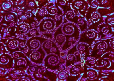 Primavere mai sbocciate