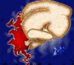 Tra il tocco sfiorato