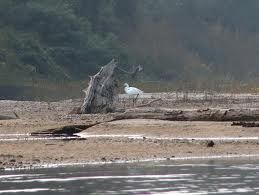 L'amore ci porta tutto l'immerso che ha prodotto