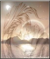 Nel bagliore della sera