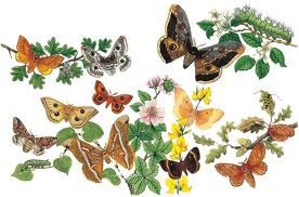 I minatori della felicit�