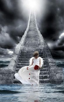 Sul viale del tramonto