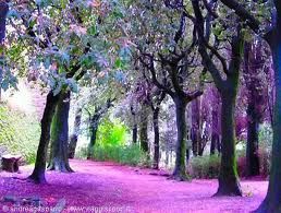 Sii pronto a cogliere