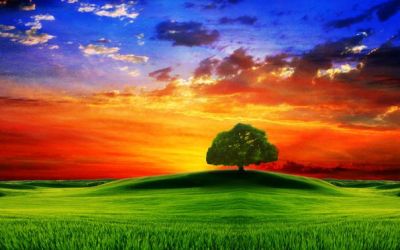 Ad un passo dal Paradiso  