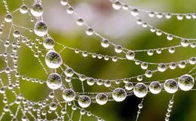 Il mondo... in una goccia  