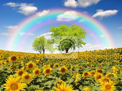 Pennellate stagionali