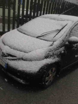 Nel nevischio m'invischio  