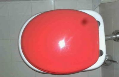 Alchimie della padrona