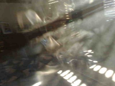 Fantasmi estatici capitolini