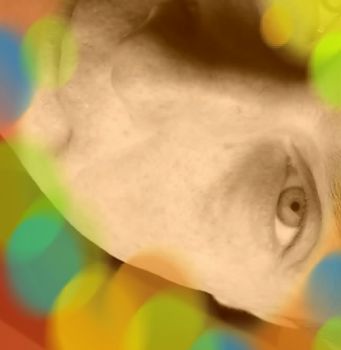 Senile logorio della vagina