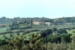 Vecchio podere  