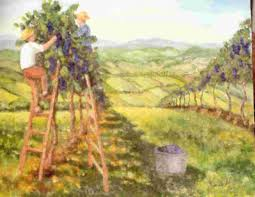 Pampini e vesperi vermigli  