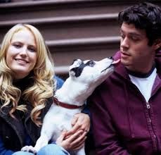 Ai due fedele il cane