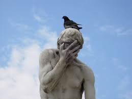 Dove osano i piccioni