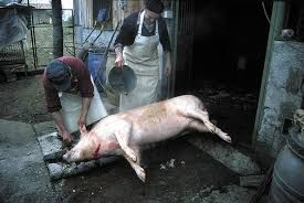 E non mangiò più carne!