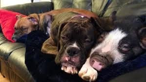 Parità dell’ Essere