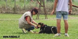 Di rustica, cinofila, testina d’aglio